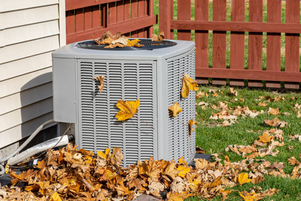 Best HVAC installation services  in Pea Ridge, FL